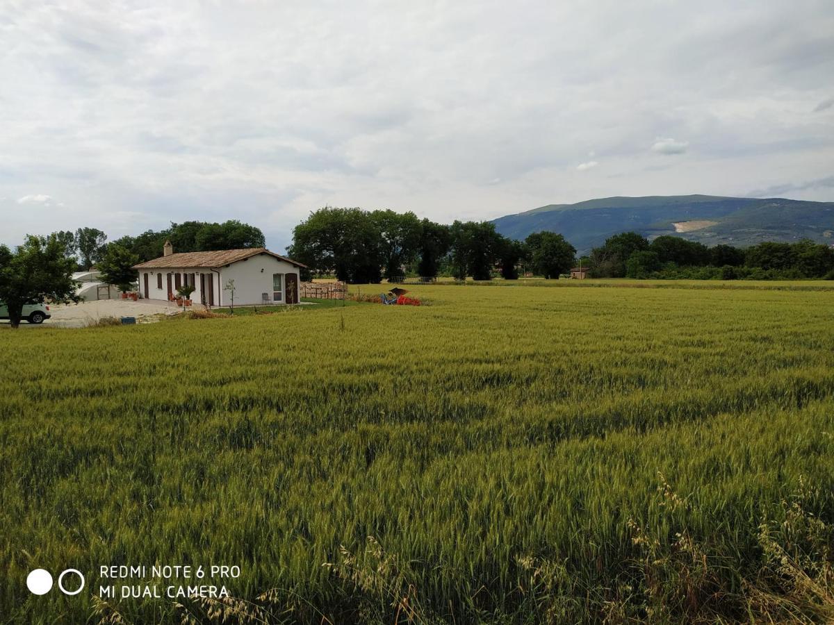 Agriturismo " Le Serre" Спело Екстериор снимка