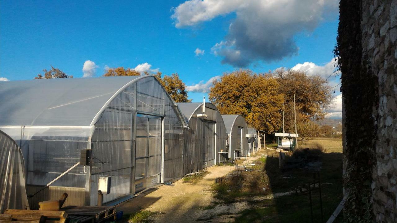 Agriturismo " Le Serre" Спело Екстериор снимка