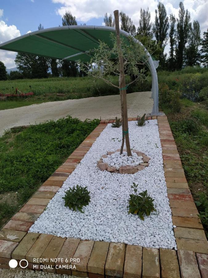 Agriturismo " Le Serre" Спело Екстериор снимка