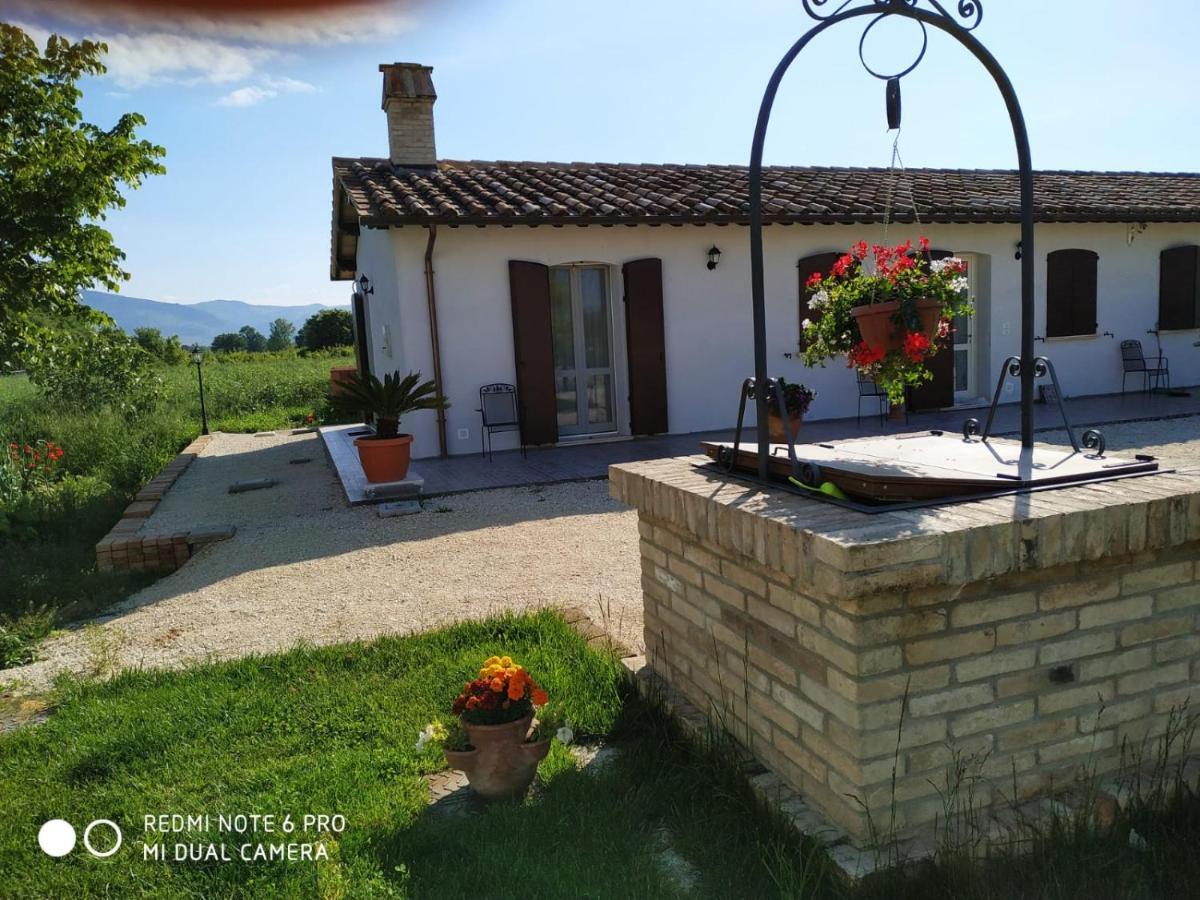 Agriturismo " Le Serre" Спело Екстериор снимка