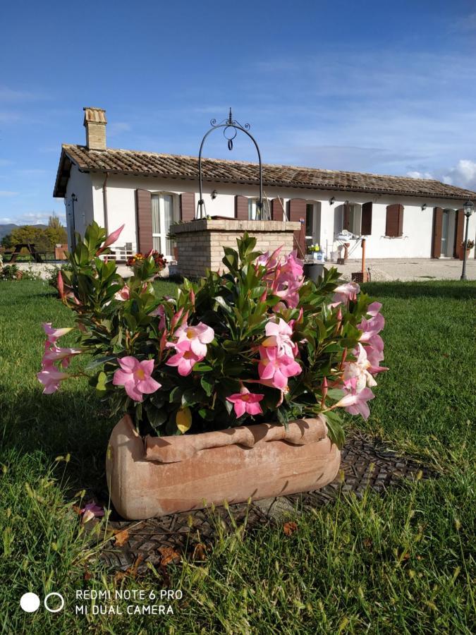 Agriturismo " Le Serre" Спело Екстериор снимка